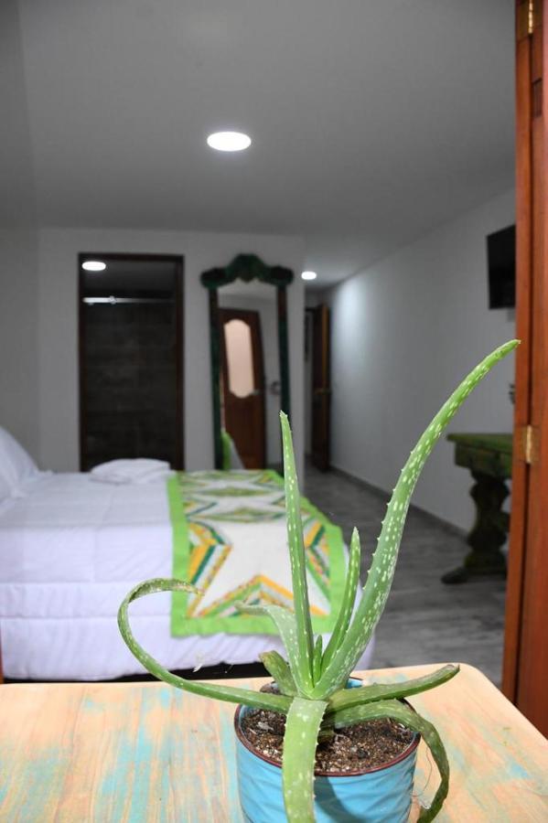 Paisa Territory Jardin Hotel Buitenkant foto